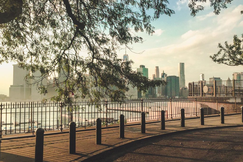 pexels photo 2597991